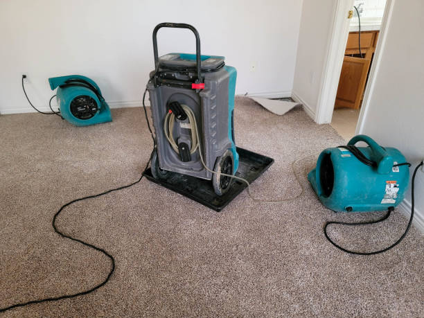 Best Carpet water damage restoration  in Brookston, IN