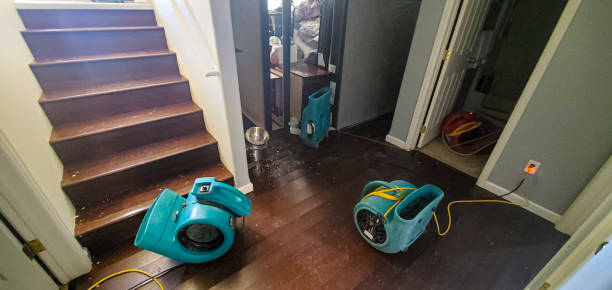Best Sewage cleanup and water damage restoration  in Brookston, IN
