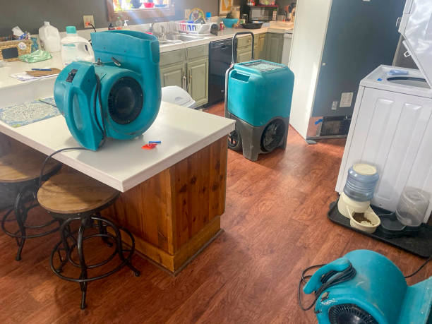 Best Water damage restoration services  in Brookston, IN