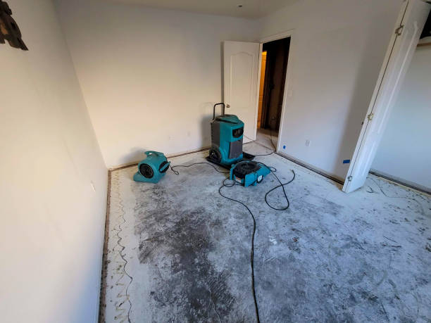 Best Professional water damage repair  in Brookston, IN