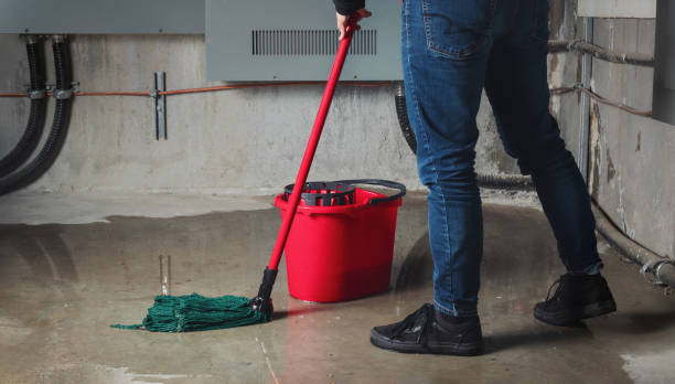 Professional Water damage restoration in Brookston, IN