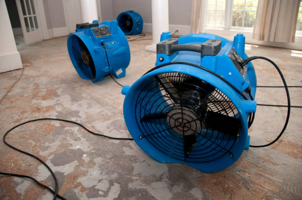 Best Water damage mitigation services  in Brookston, IN
