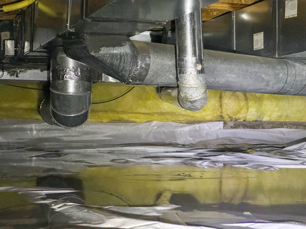 Best Water damage cleanup near me  in Brookston, IN