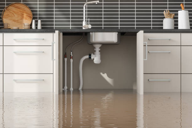 Best Mold removal after water damage  in Brookston, IN