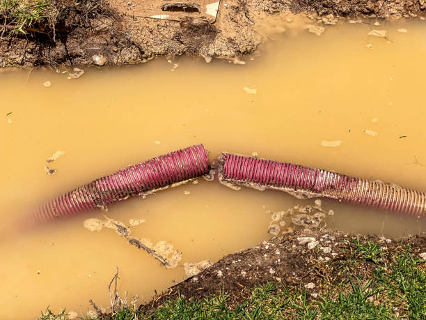 Best 24-hour water damage restoration  in Brookston, IN