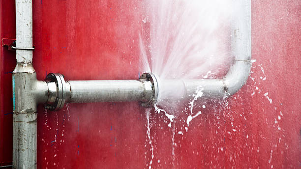 Best Water damage restoration near me  in Brookston, IN