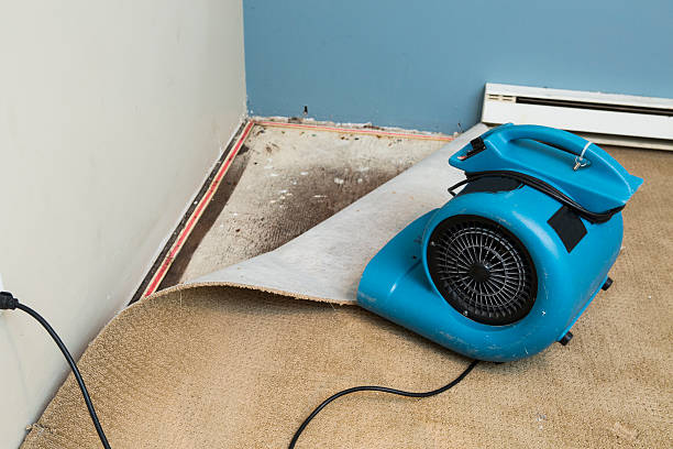 Best 24-hour water damage restoration  in Brookston, IN